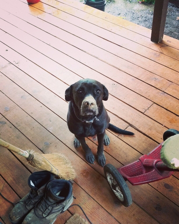 This is BMO she may have dug a hole