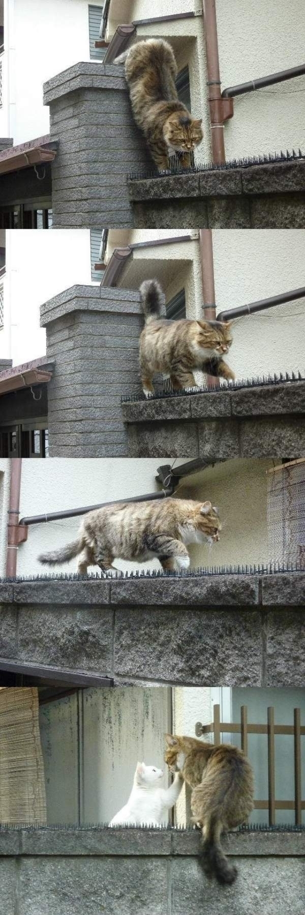 This is called Love