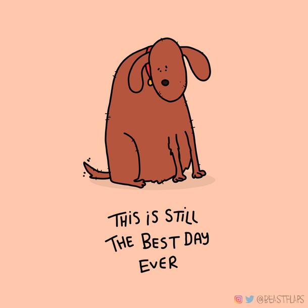this is day  of my pledge to draw a new grumpy animal every day for a year and Im literally in tears now thanks