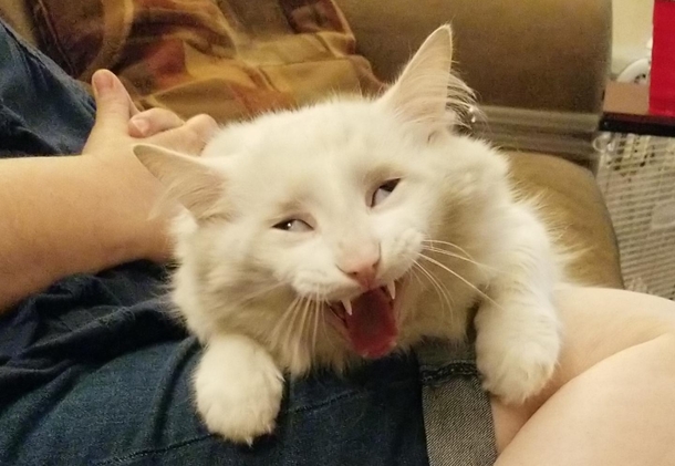 This is Derpy looking derpy mid-yawn