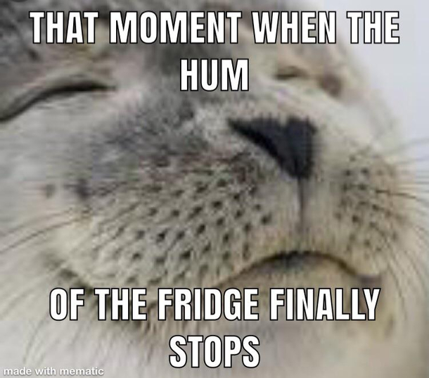 This is especially true when youre living in a small apartment or your fridge is loud