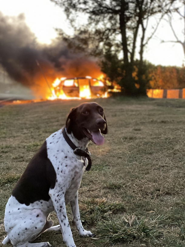 This is fine
