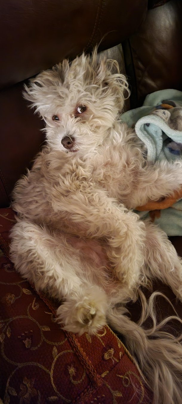 This is Havana She says Fk Mondays