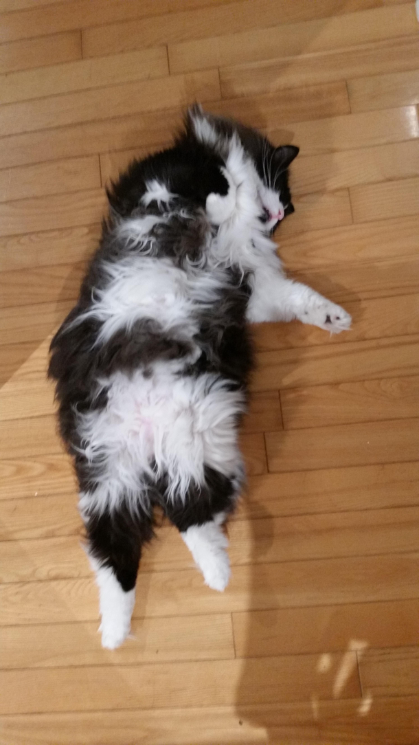 This is how he sleeps usually in the middle of the floor