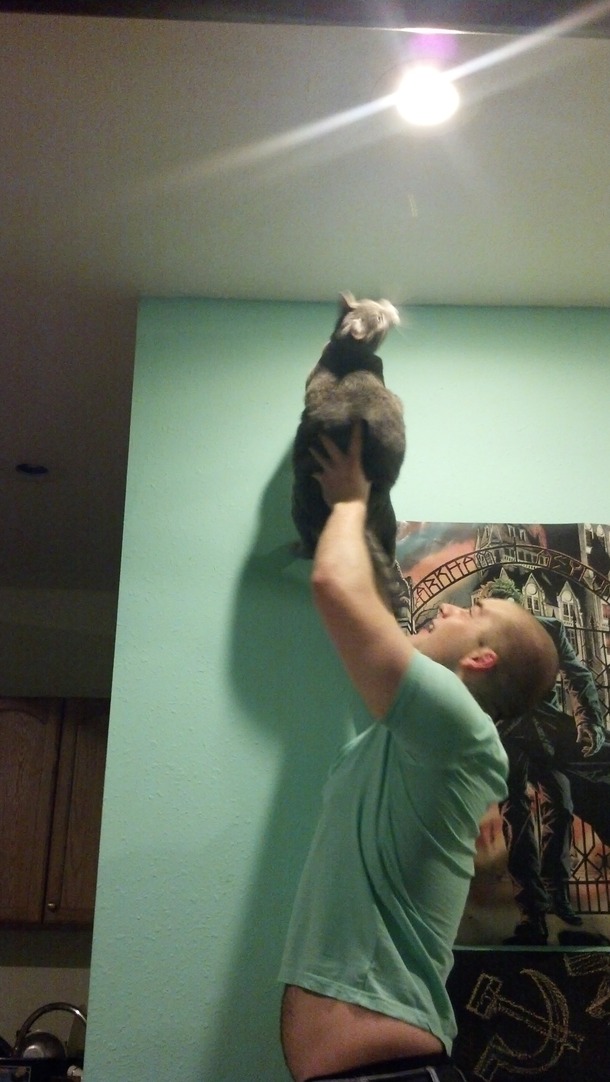 This Is How My Boyfriend And His Cat Catch Bugs Together