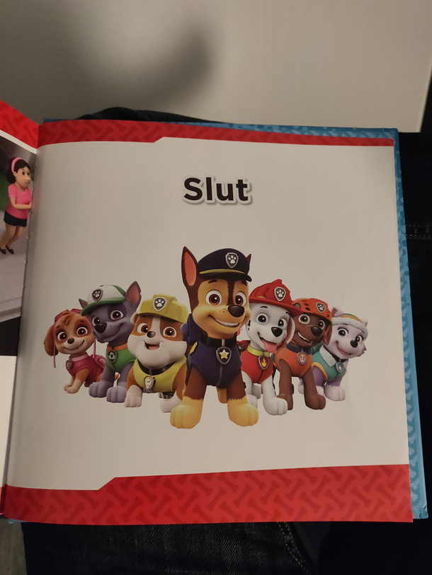 This is how my daughters Paw Patrol book ends Swedish for the end