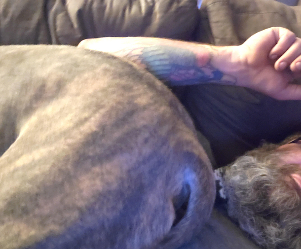 This is how my dog decided to lay with me on the couch