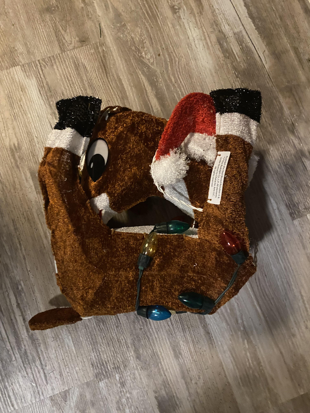 This is how my Rudolph decoration came packaged