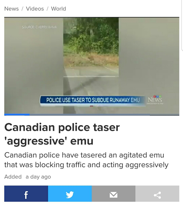 This is how the Great Emu War II begins