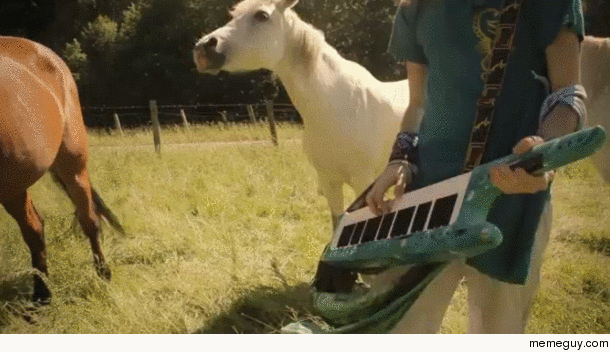 This is just a guy wailing on a keytar with horses headbanging in the background 