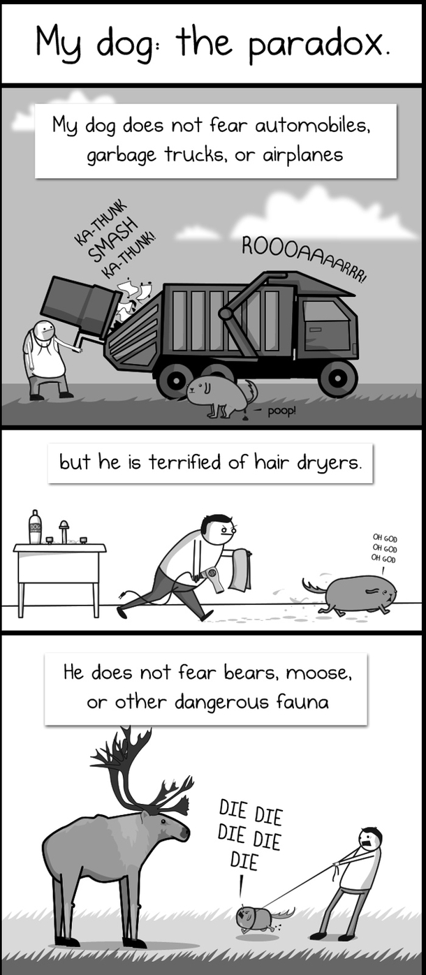 This is like the explanation of every fucking dog ever