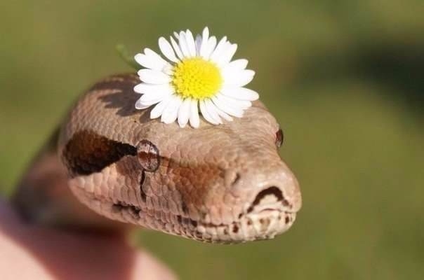 This is me when I am trying to look pretty