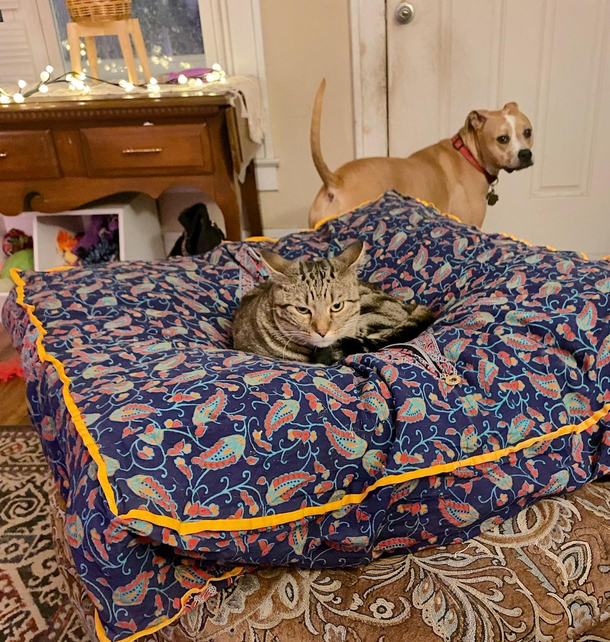 This is mine now