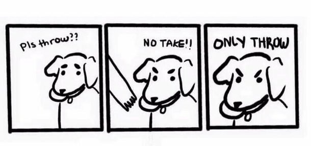 This is my dog