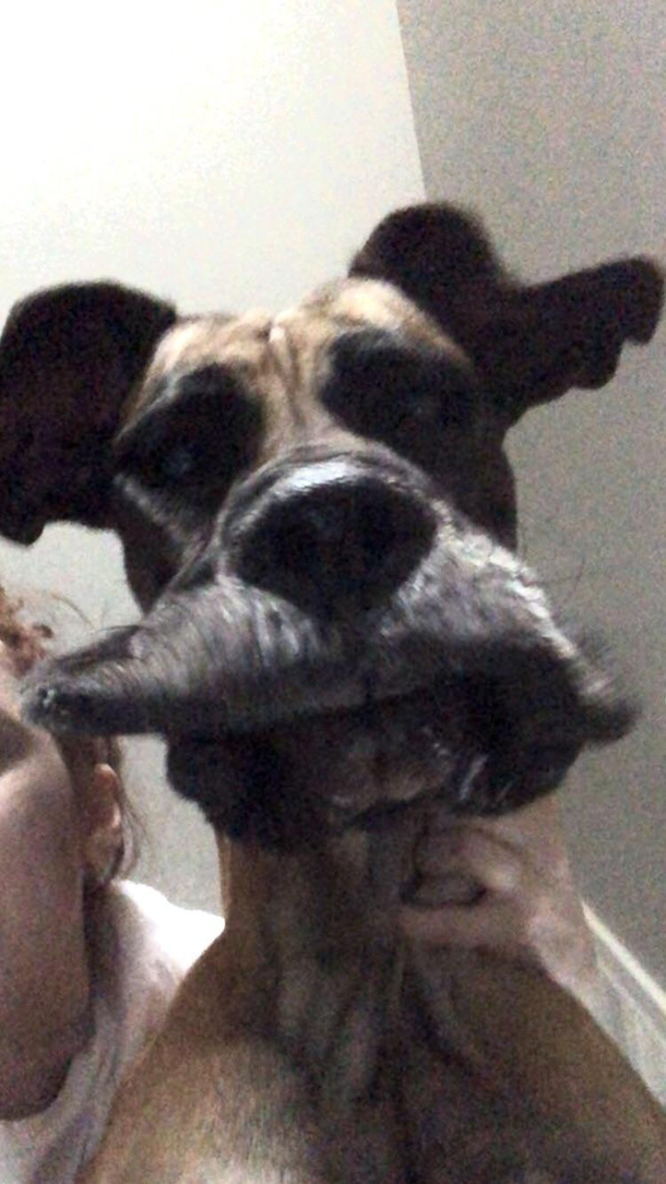 This is my dog upsidown
