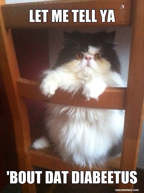 This is my favorite picture ever
