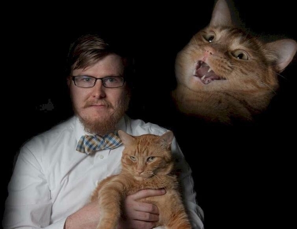 This is my kind of kitty portrait