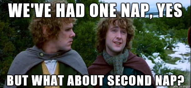 This is my New Years Day so far