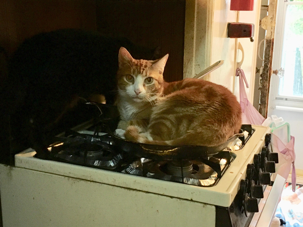 This is my place now you can order from outside