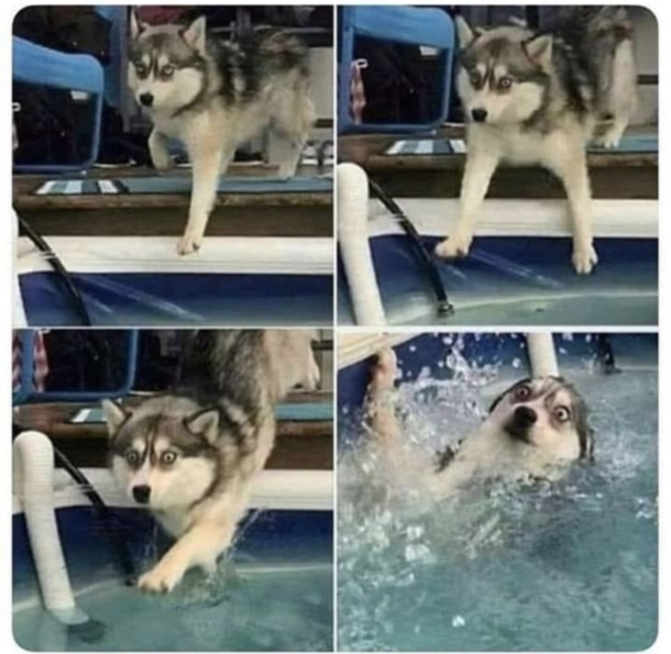 This is not the floor