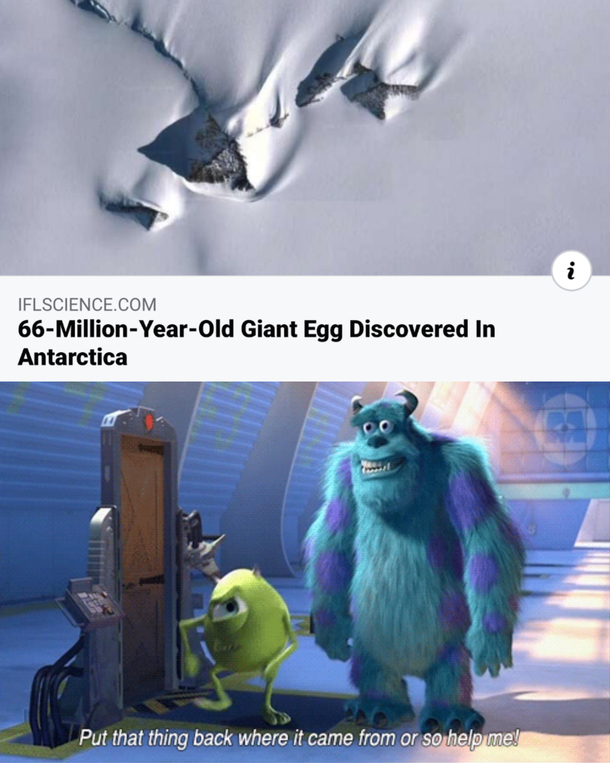 This is NOT the year for it