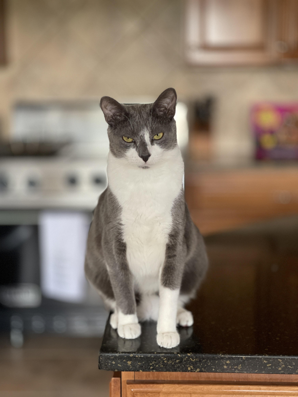 This is Remi He has RBF