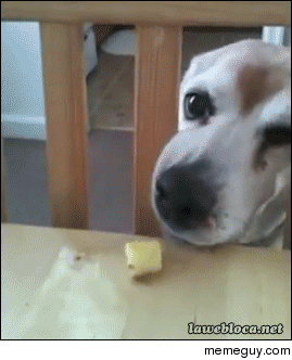 This is so frustrating to watch