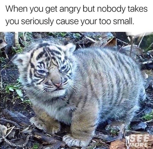 This is so true