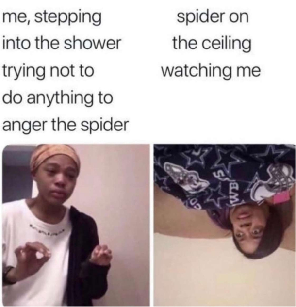This is the best template ever