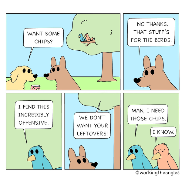This is the bird way OC