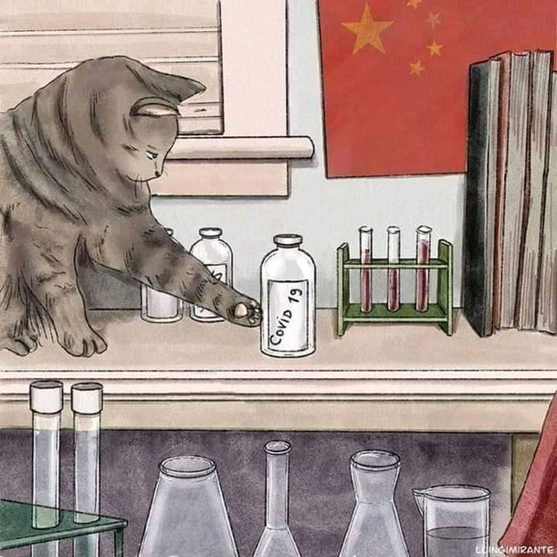 this is the explanationCATS