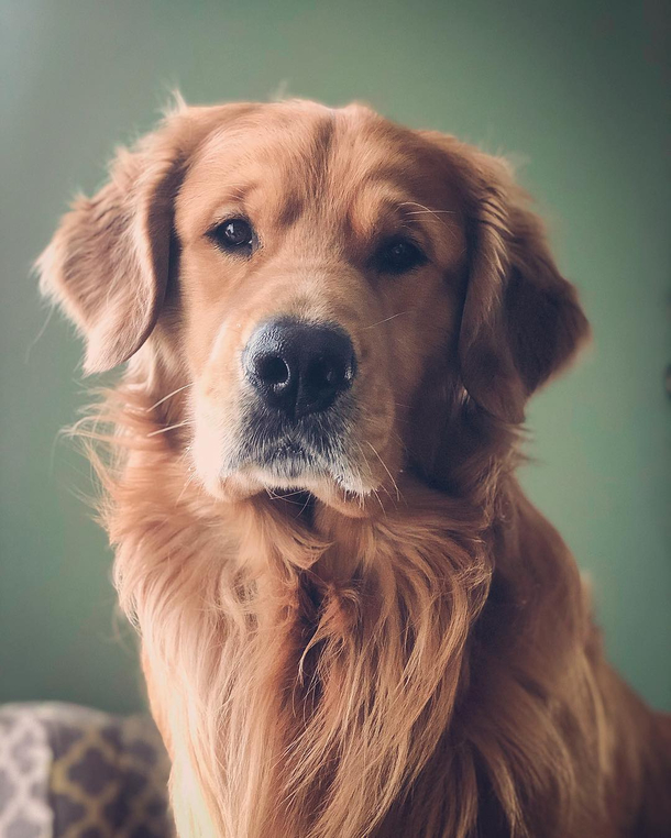 This is The Face We Get To Wake up To Every Morning 