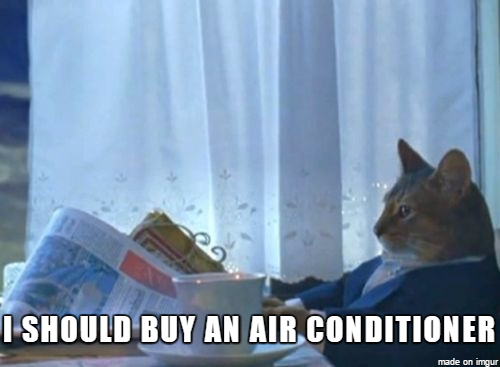 This is the first summer Ive had in a while where Im making decent money
