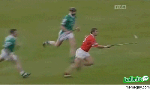 This is the Irish sport of Hurling a cross between field hockey and murder