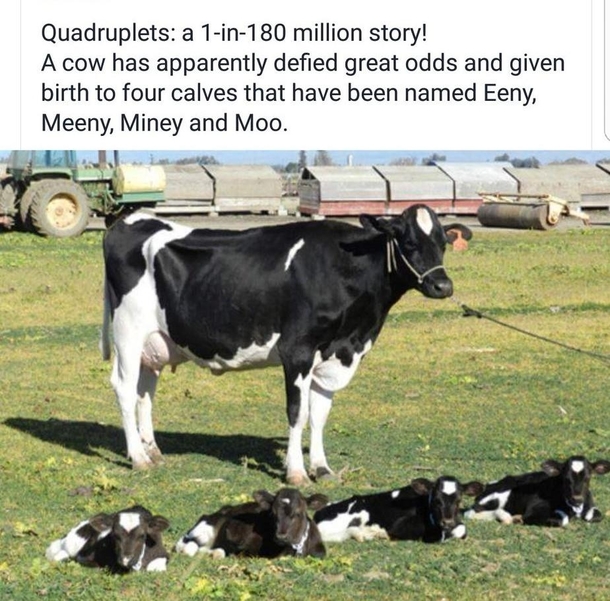 This is the only news I care about