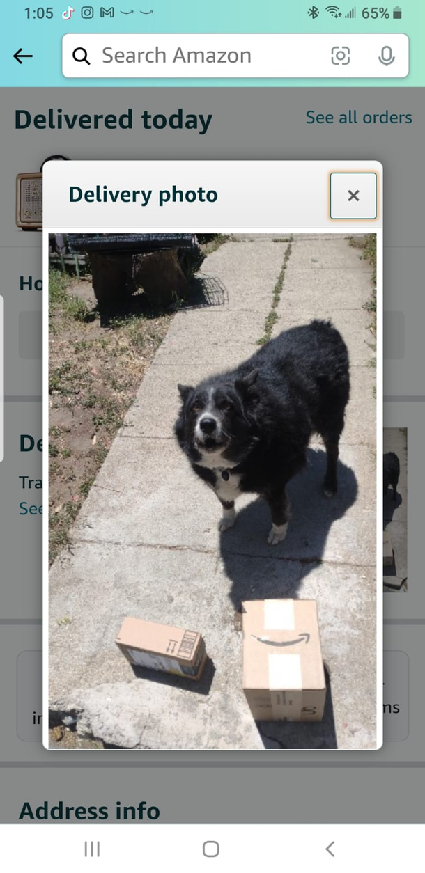 This is the picture Amazon sent my BIL to say the packages were delivered to a family member directly
