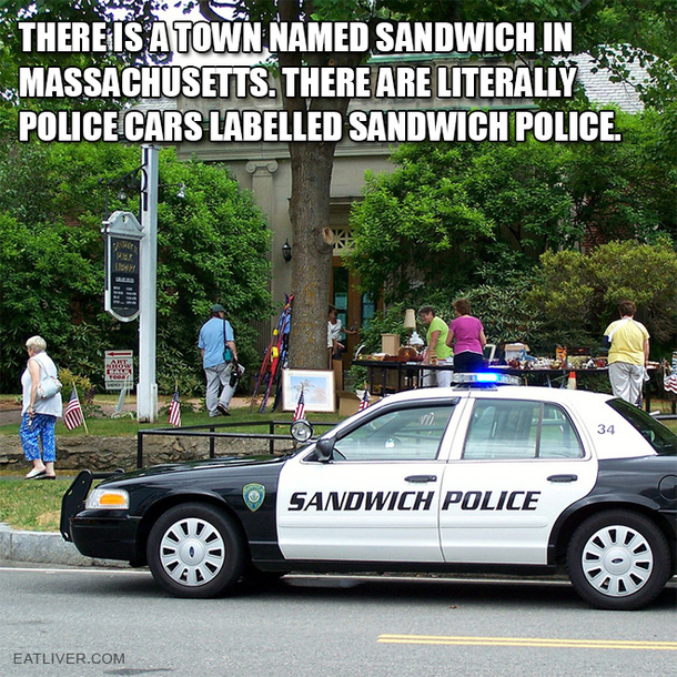 This Is The Sandwich Police Lettuce In