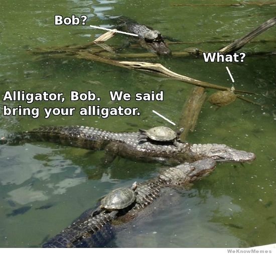 This is the second time youve forgotten Bob