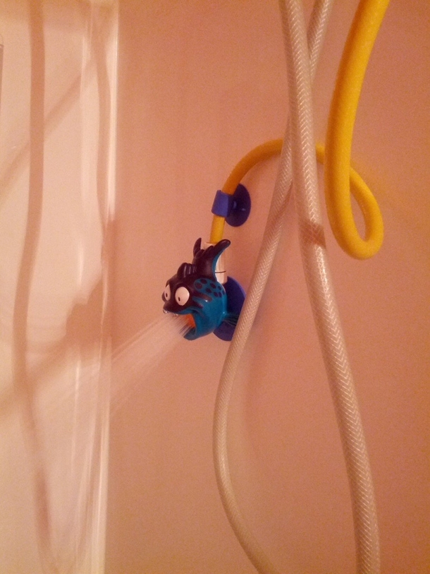 This is the shower head that my  year old cousin hates because he thinks its throwing up on him