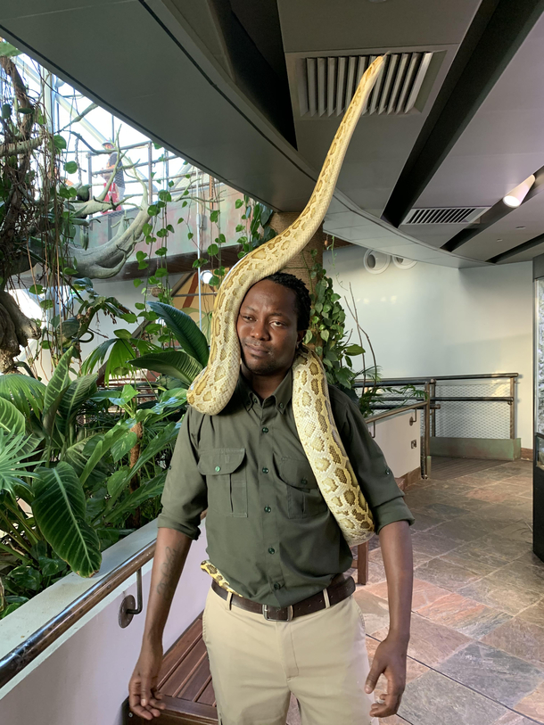 This is the snake handler at The Green Planet in Dubai He says he loves his job