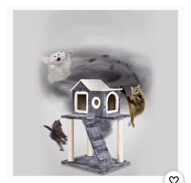 This is the what I got when searching for a cat house on amazon Italy