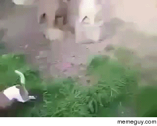 This is what happens when an engineer owns a dog