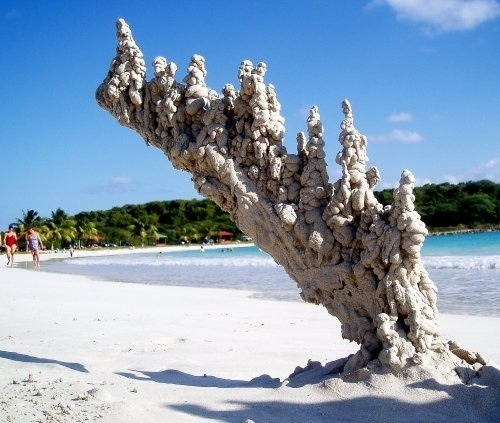 This is what happens when lightning strikes sand