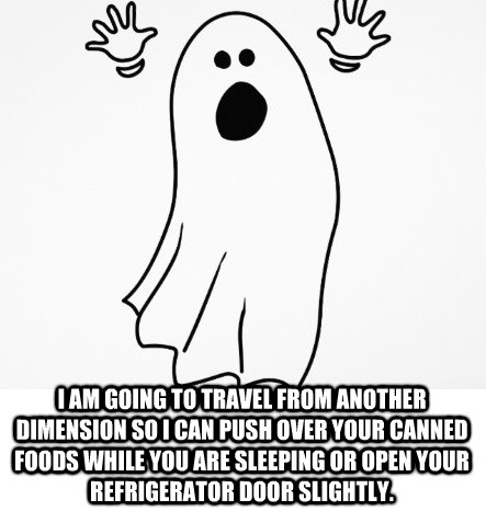 This is what I think every time someone tells me they have a ghost in their house because they find things knocked down or opened