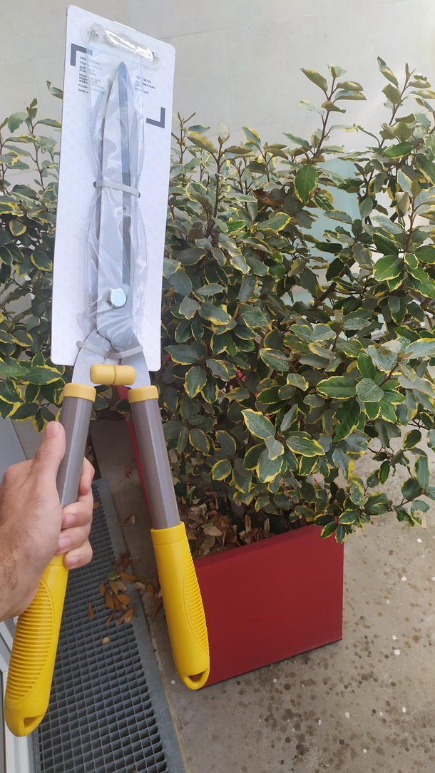 this is what my gf bought for cutting it