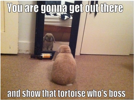 This is what your rabbit is thinking about