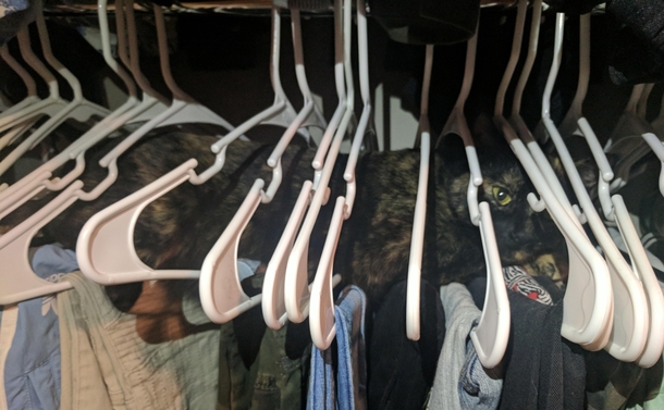 This is where she likes to hang out now I guess