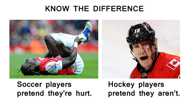 This is why im an hockey fan