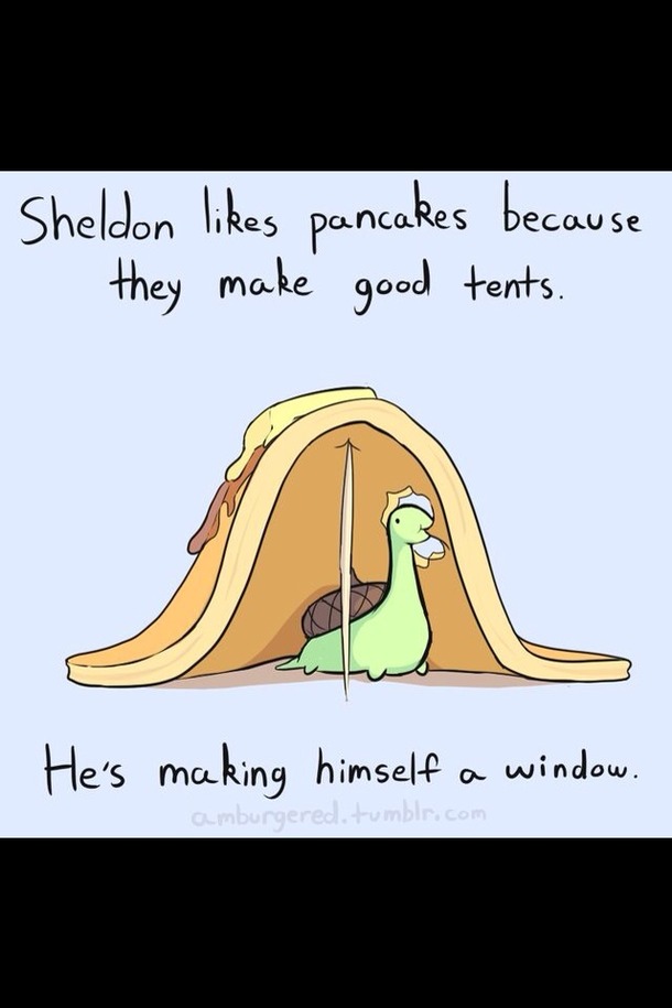 This is why Sheldon is a winner