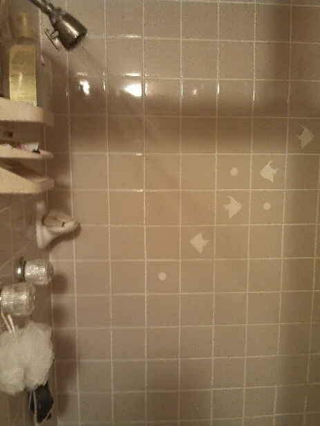 This isnt what I meant when I asked her to send a shower pic